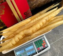 告訴你個秘密：魚膠放久了顏色會變黃