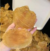 老中醫告訴你吃花膠要姨媽干凈幾天可以吃