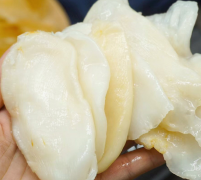 30年國宴大廚告訴你們鮮燉魚膠用哪種
