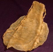 花膠與什么一起燉湯好喝補身體