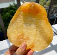花膠怎么吃效果最好